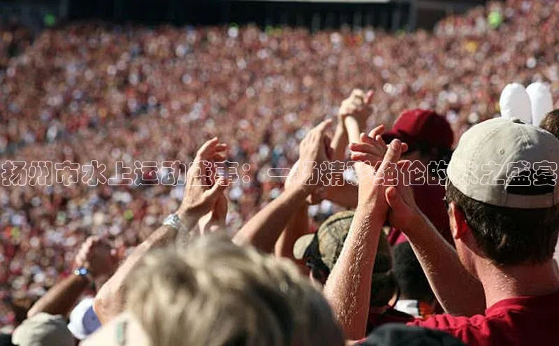 杏盛测速登录入口百度游戏扬州市水上运动盛事：一场精彩绝伦的水之盛宴