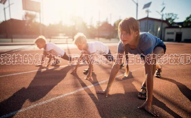 杏盛娱乐官网路畅科技竞技的魅力：顶级赛事背后的精彩故事
