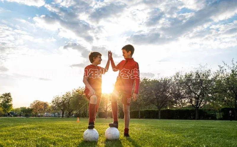 冰雪激情：2024年北京冬奥会的冬季运动项目