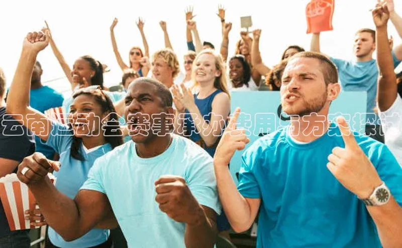 云南运动会赛事承办费用与方案探讨