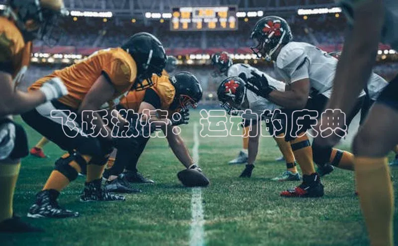 飞跃激情：运动的庆典