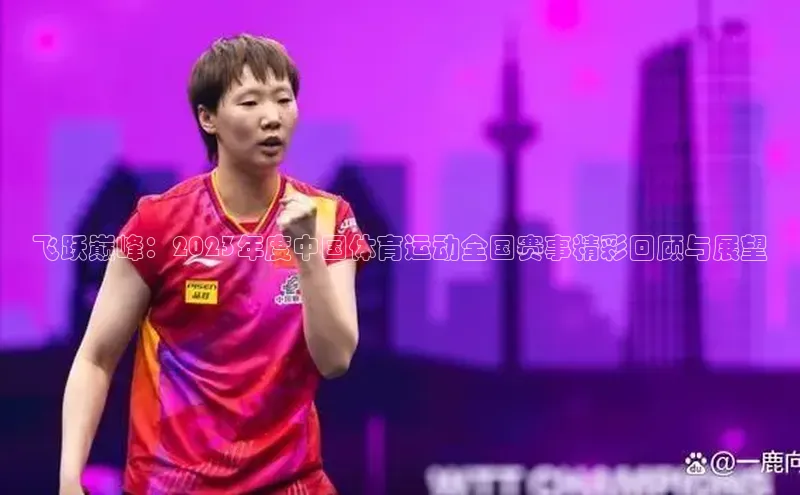 飞跃巅峰：2023年度中国体育运动全国赛事精彩回顾与展望