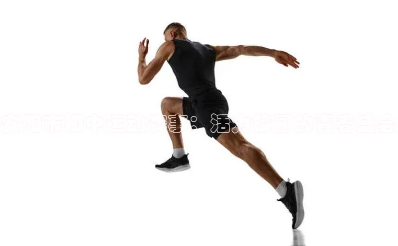 安阳市初中运动赛事：活力校园的青春盛会