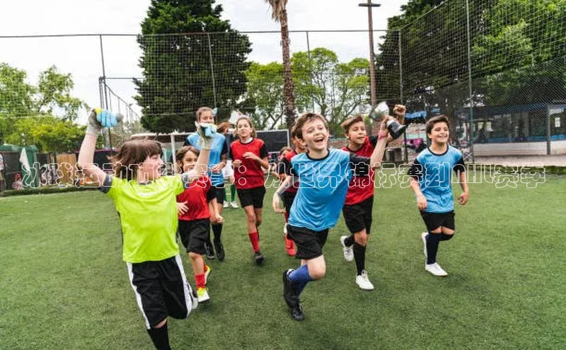 冰球运动顶尖赛事：从世界锦标赛到NHL赛季