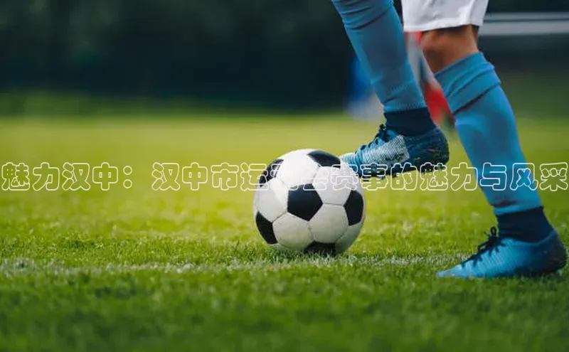 魅力汉中：汉中市运动会赛事的魅力与风采