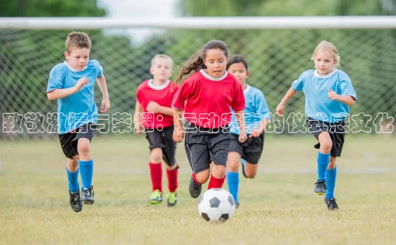 致敬激情与荣耀：运动赛事的仪式感文化