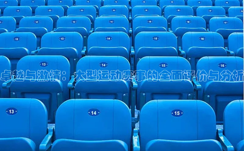 卓越与激情：大型运动赛事的全面评价与分析