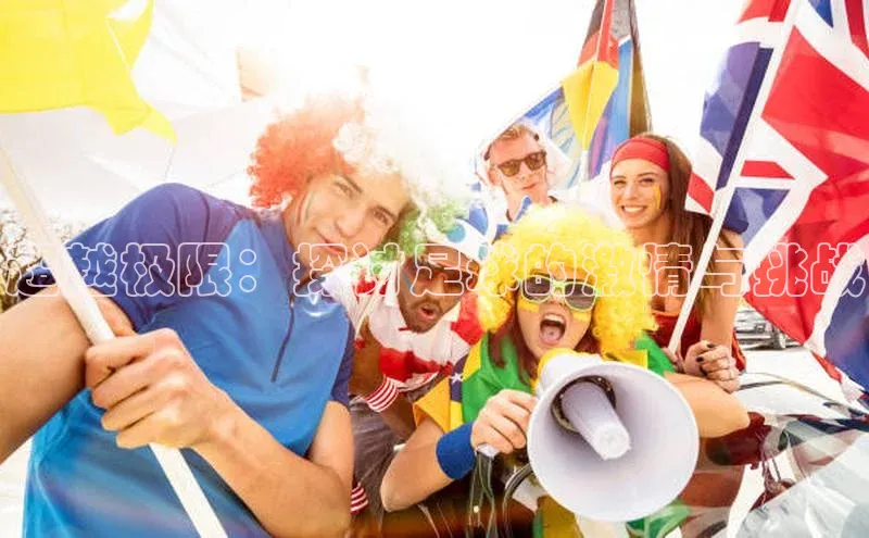 杏盛测速app官方下载最新版