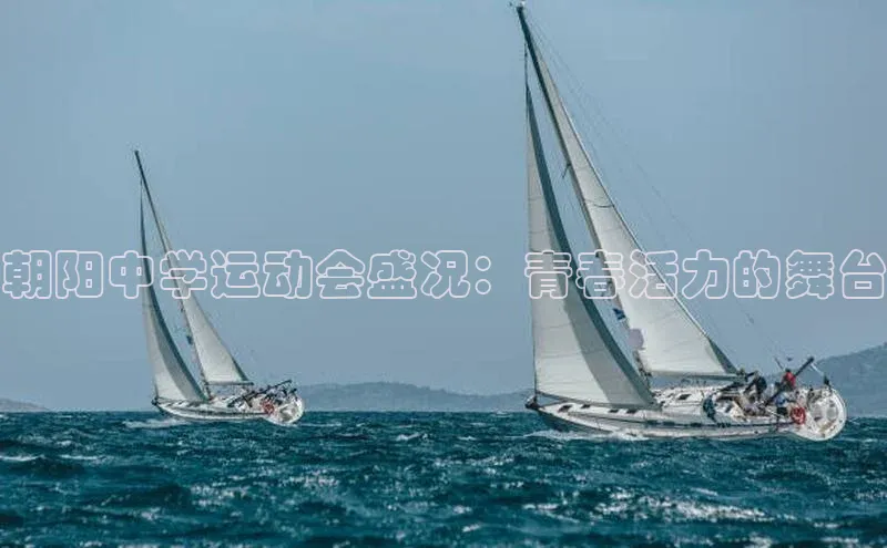 朝阳中学运动会盛况：青春活力的舞台